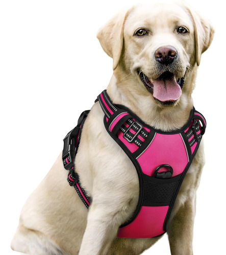 Arnés Para Perros Rabbitgoo No Pull Ajustable Con 2 Clips L