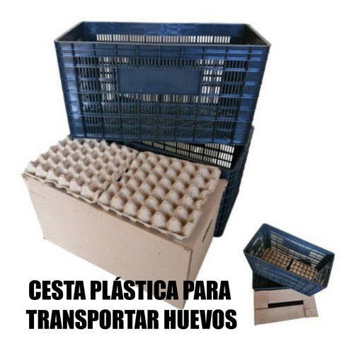 Cesta Plástica Para Transportar Huevos