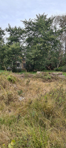 Imagen 3 de 8 de Terreno Muy Grande Y Nivelado, Ideal Vivienda Comercio. Sobre Calle Avenida Nogueira A Dos Cuadras De Ruta Interbalnearia Zona De Crecimiento Y Muy Tranquila.