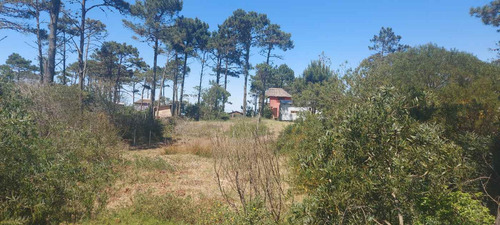 Terreno En Venta En El Bosque En Punta Del Diablo