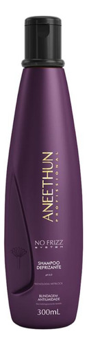 Aneethun No Frizz Shampoo Defrizante 300ml