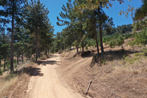 Excelente Terreno En Boyeruca