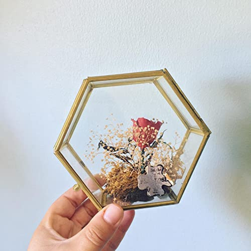 Joyero De Cristal Hexagonal Dorado Para Anillos Y Aretes