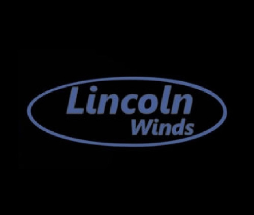 Clarinete Bb 17 Llaves Estuche Acces Lincoln Winds Lwcl1301