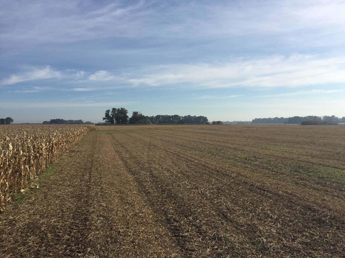 Lujan. 140 Has Agricolas