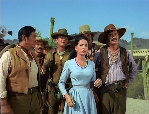 Imagen 9 de 10 de El Gran Chaparral Serie Completa (audio Latino)