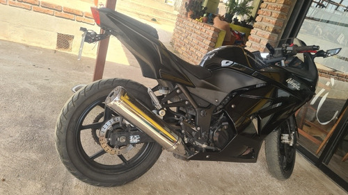 Imagen 2 de 13 de Kawasaki R250