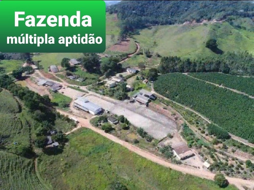 Imagem 1 de 15 de Fazenda, Para Venda Em Fervedouro/mg - Coffeefarm730