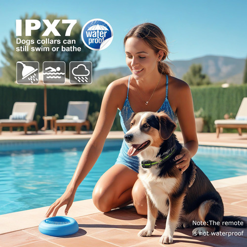 2 Collares Electricos De Adiestramiento Para Perros Control