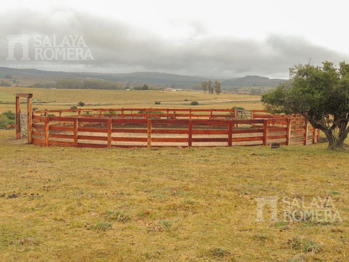 Imagen 6 de 30 de Venta 10 Ha, 3 Viviendas, Buen Potencial Turístico, Pueblo Eden, Punta Del Este Sch4818860