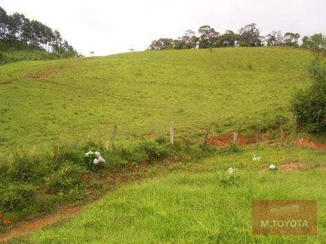 Imagem 4 de 20 de Sítio À Venda, 163000 M² Por R$ 650.000,00 - Vargem Do Salto - Ibiúna/sp - Si0001