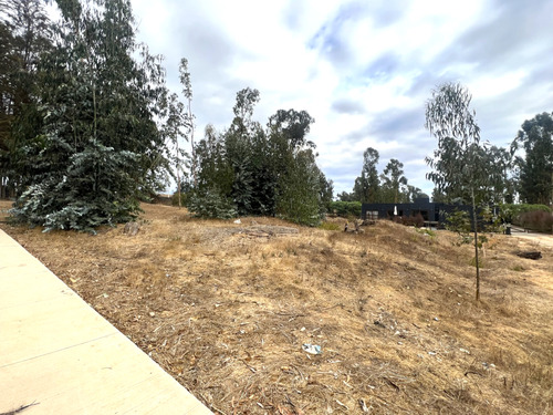 Imagen 8 de 22 de Sitio En Condominio De Categoría En Venta En Puchuncaví