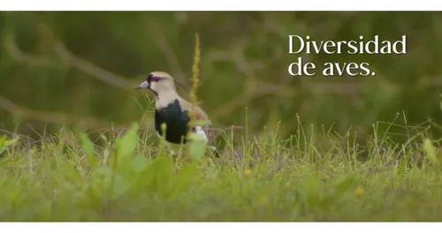 Venta De Lote Vía Don Diego La Ceja