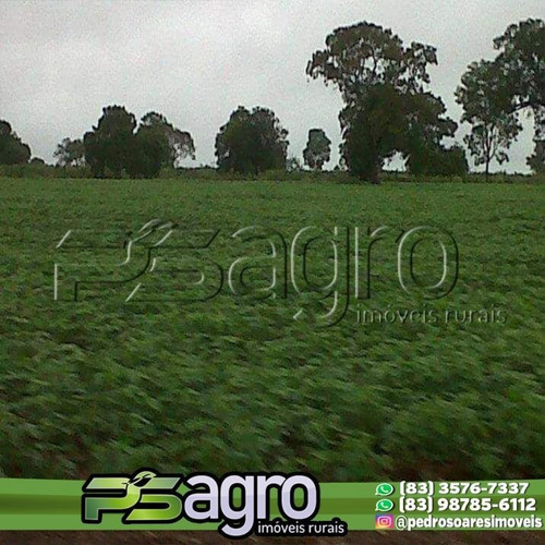 Imagem 7 de 10 de Fazenda À Venda Em Pium/to - 4.210 Ha (870 Alqueires) - Fa0089