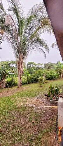 Vende-se A Casa Da Montanha - Antonina