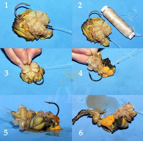 Hilo Elástico Para Carnadas De Pesca