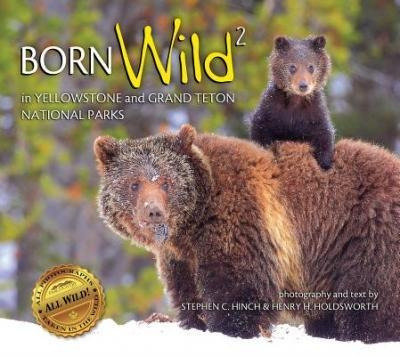 Born Wild 2 : In Yellowstone And Grand Teton National Par...
