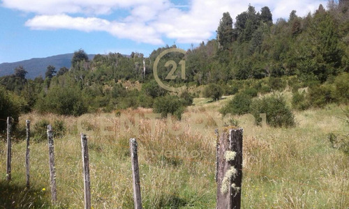 Imagen 5 de 14 de Espectacular Campo En Estero Plateado