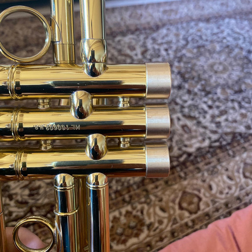 Trompetas Tapa De Válvula Instrumentos Accesorios Tapa