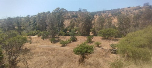 Terrenos Construccion En Venta En Limache Desde 45.000.000
