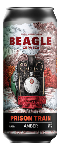 Combo X 6 Cerveza Artesanal Rojas - Scottish / Irish / Amber