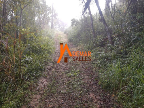 Imagem 9 de 29 de Chacara - Ch00105 - 69487415
