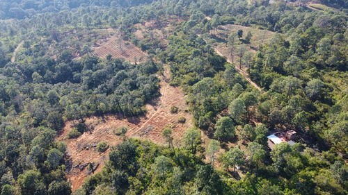Terrenos En Venta En El Bosque Cercano A Tapalpa, Sayula Y San Gabriel
