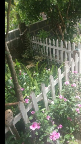 Imagem 5 de 13 de Chácara Com Casa Grande Mais Uma Pequena, Lugar Maravilhoso