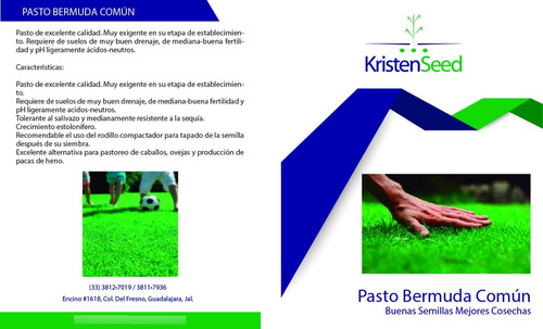 Semilla De Pasto Bermuda Común Desnuda Saco 50 Libras