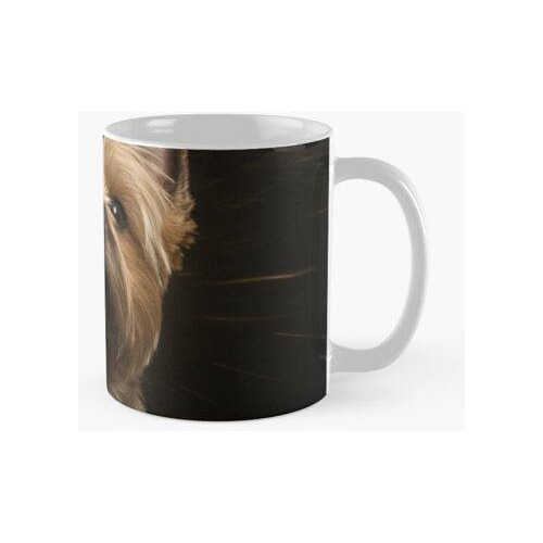 Taza Cairn Terrier De Perro Fiestero Calidad Premium