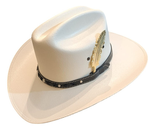 Sombrero Vaquero Unisex Horma Sinaloa Con Pluma Metálica M