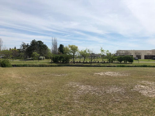 Imagen 3 de 9 de Exclusivo Terreno En La Isla
