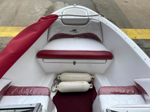 Lancha Geuna 540 Open Mercury 60hp 4t Con 60 Horas
