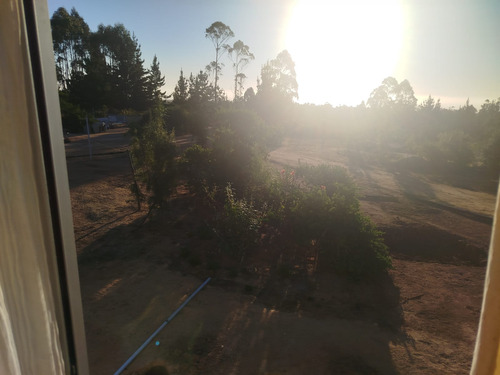 Venta Parcela 5000mts Algarrobo