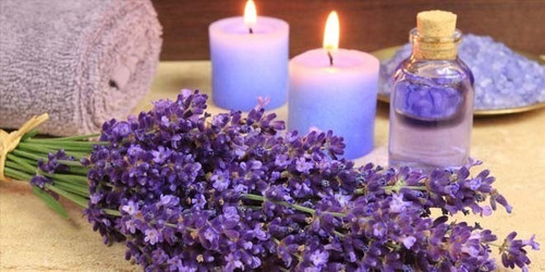 Fruta Y Flor Deshidratada Para Velas Parafina, Soya Y Gel (Usado)