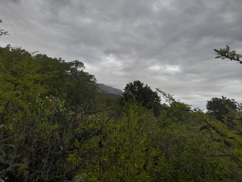 Imagen 6 de 11 de Lotes , Traslasierra-córdoba, Los Hornillos