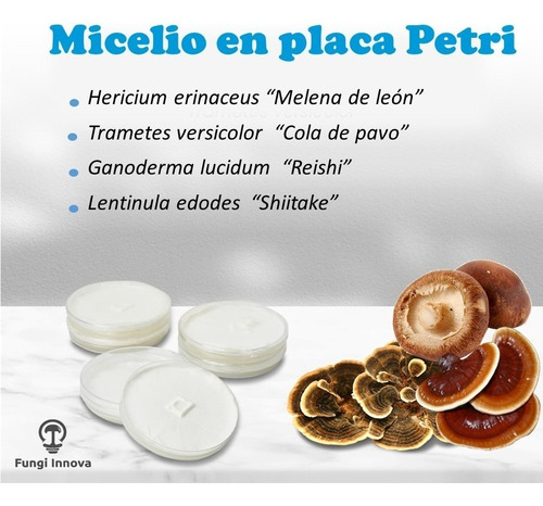 Imagen 1 de 1 de Micelio De Hongos Comestibles En Placa Petri 