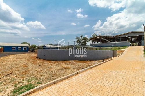Imagem 15 de 15 de Sitio - Outros - Ref: 699 - V-p895