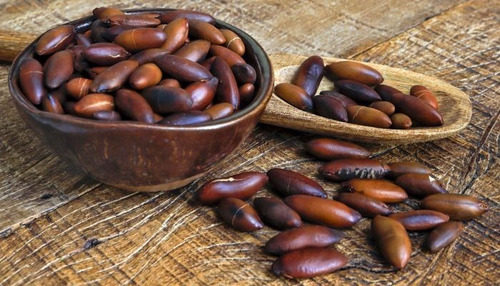 Castanha De Baru Torrada 1kg Melhor Semente De Qualidade
