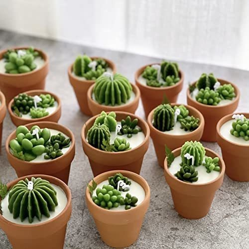 Mini Velas Perfumadas Para Suculentas, Regalo De Cactus Para