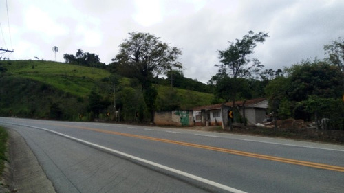Imagem 28 de 28 de Sitio Itapeva Guararema Sp Brasil - 475