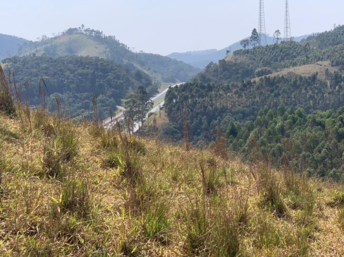 Imagem 3 de 14 de 54ne- Terreno 1000m2 R$40.000 Mil -localização Na Descrição