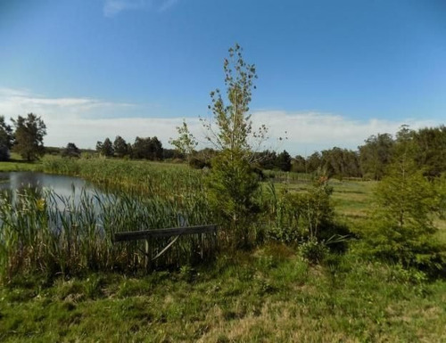 Quinta En Venta En Punta Piedras