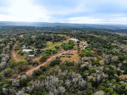 Campo De 200 Hectareas En Argentina, Cordoba. Villa De Dique