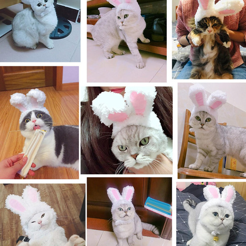 Disfraz De Mascota Orejas De Conejo Ropa Perro Gato
