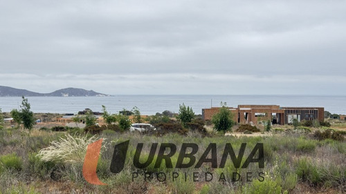 Sitio En Condominio Las Mostazas, Guanaqueros