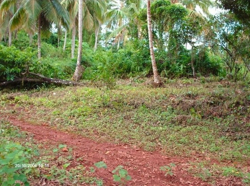 Majestuso Y Extenso Terreno En Samana