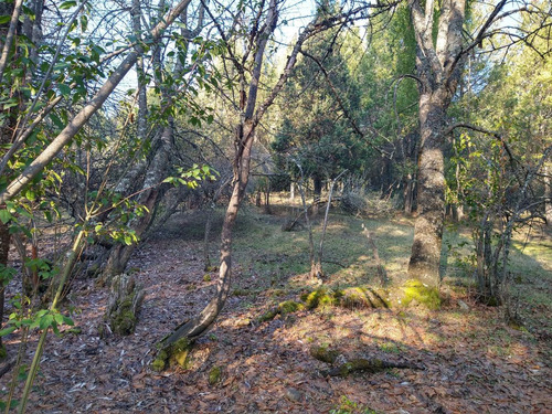 Chacra - Las Golondrinas