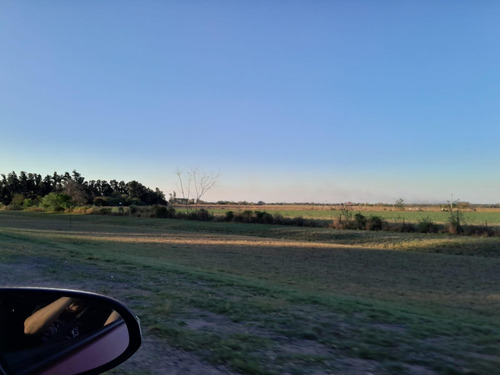 Terreno En Venta - 4 Hectareas - General Obligado