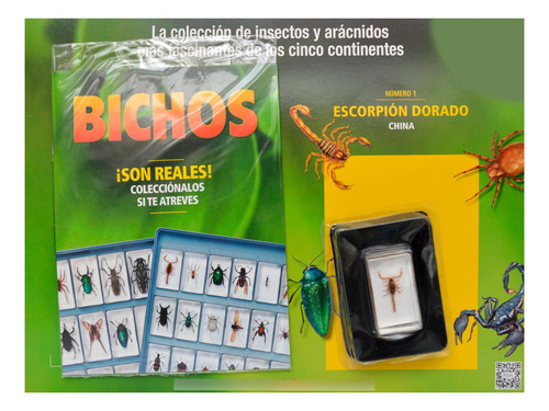 Colección Bichos #1 - Escorpión Dorado China - Rba